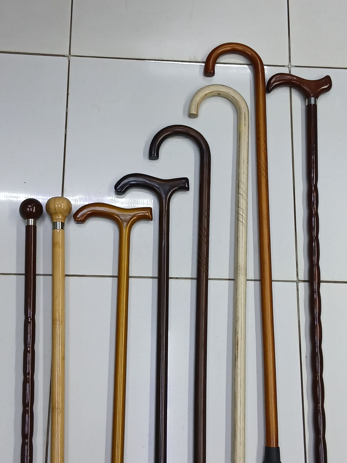 Walking Sticks